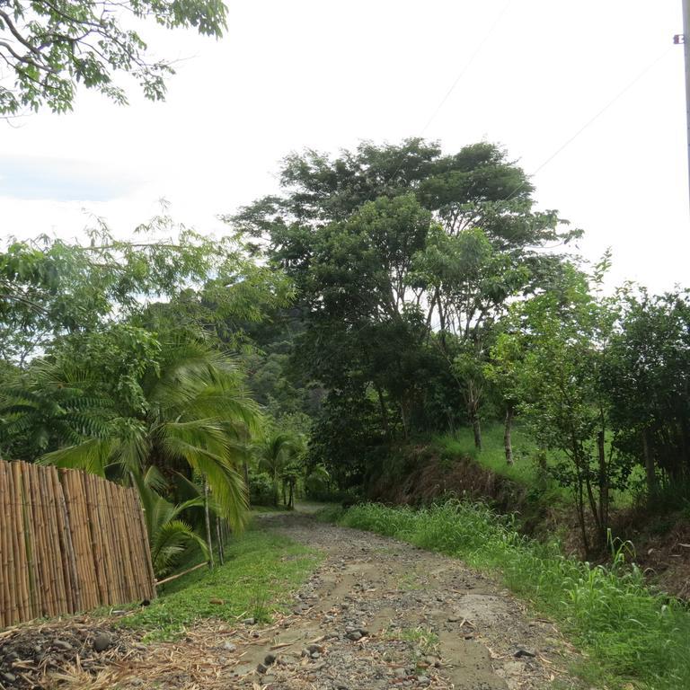Apartamento Karibu Nationalpark Nationalpark Manuel Antonio Zimmer foto