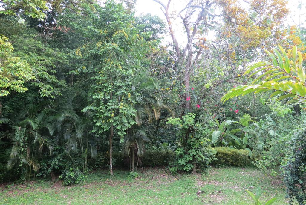 Apartamento Karibu Nationalpark Nationalpark Manuel Antonio Zimmer foto