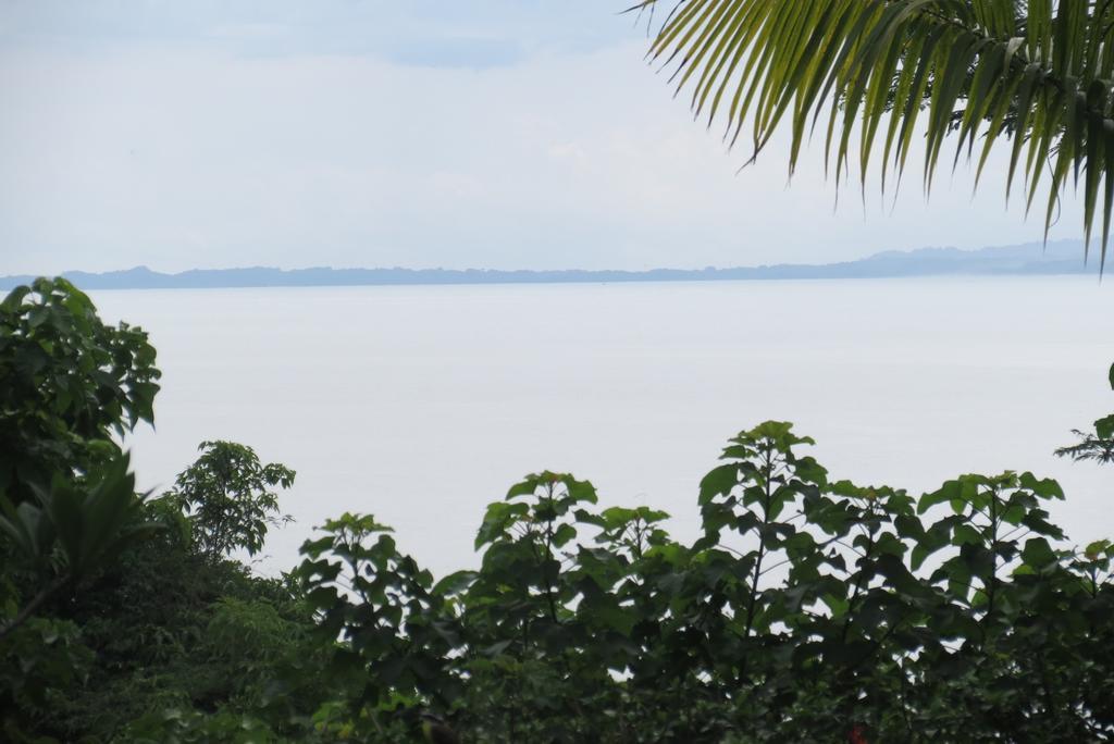Apartamento Karibu Nationalpark Nationalpark Manuel Antonio Zimmer foto