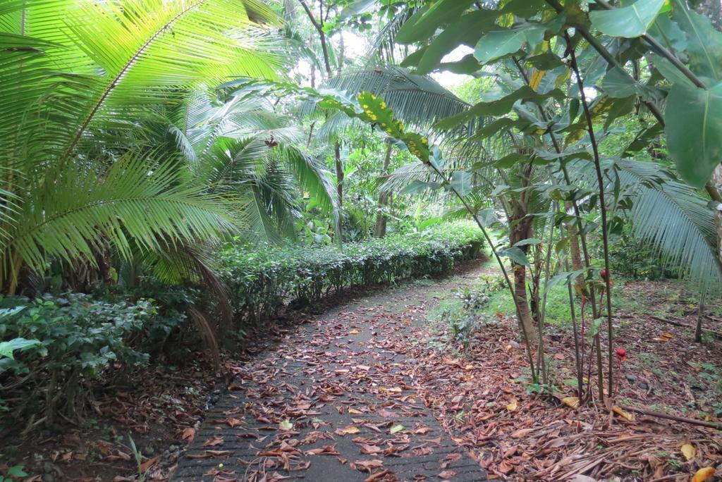 Apartamento Karibu Nationalpark Nationalpark Manuel Antonio Zimmer foto